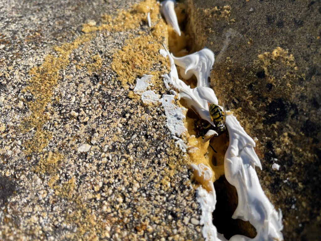 IMG_8275